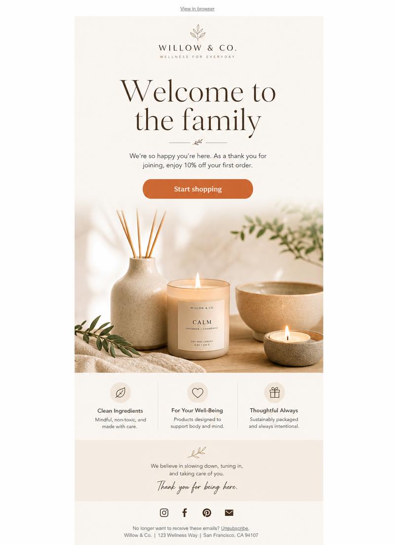 Email concept designed by Claude in the brand's visual language